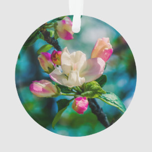 Apfelblütenblume und Knospen Ornament