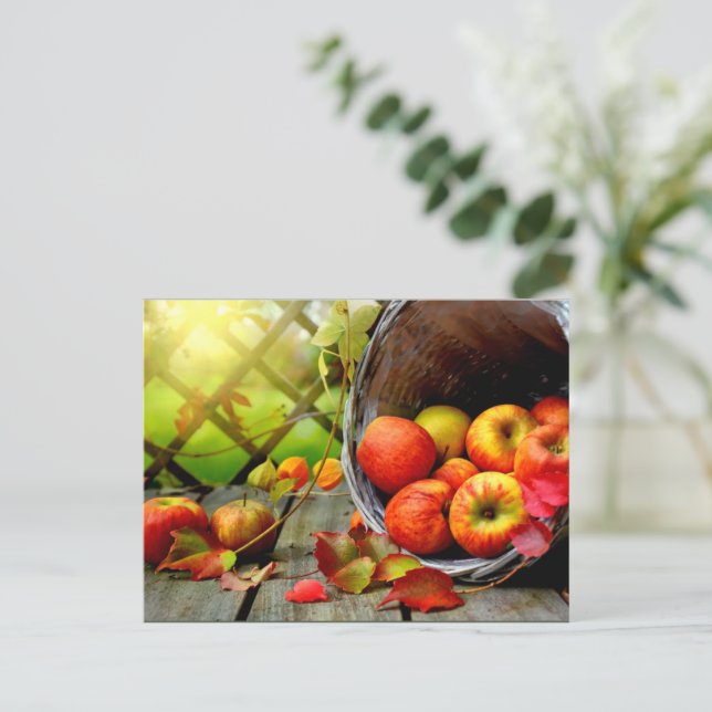 Apfelernte Postkarte (Stehend Vorderseite)