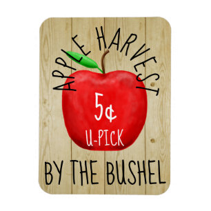 Apfelernte-Vintage-Schild Magnet