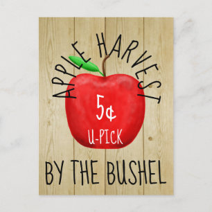 Apfelernte-Vintage-Schild Postkarte