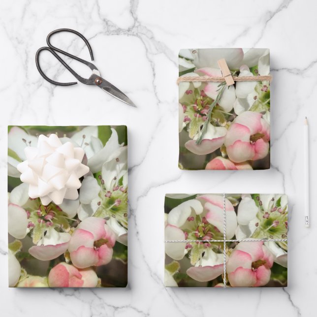 Apfelknospen Blume Geschenkpapier Set (Vorderseite)