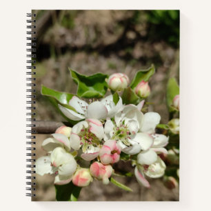 Apfelknospen Blume Notizbuch