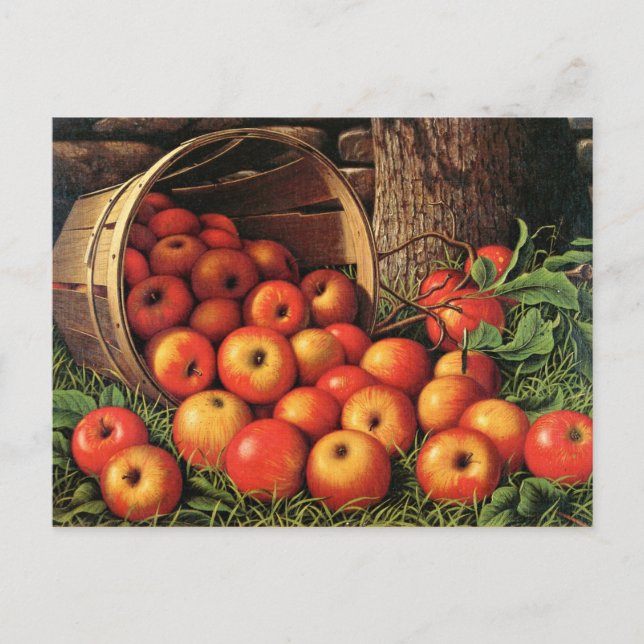 Äpfelkörbe Postkarte (Vorderseite)