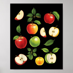 Apfelsorten Verschiedene Arten Apfelpflücker Ernte Poster