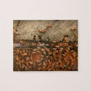 Apiary - Bienen - Erfolg süß