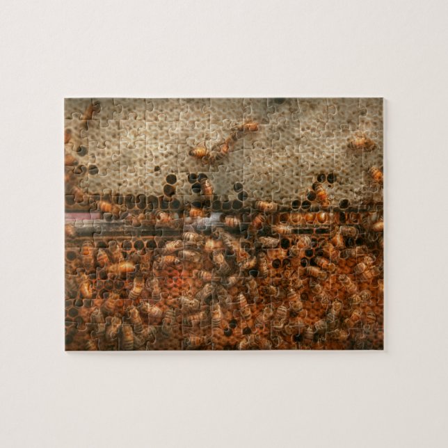 Apiary - Bienen - Erfolg süß (Horizontal)