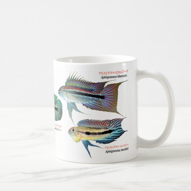 Apistgramma Kaffeetasse (Rechts)