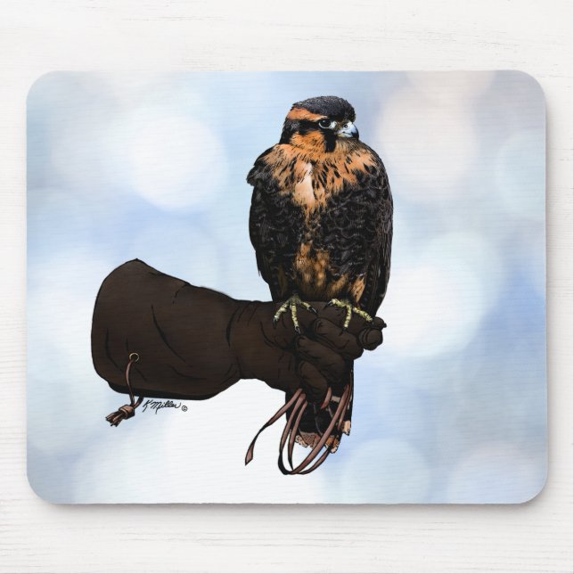 Aplomado Falcon on Glove Mousepad (Vorne)