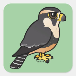 Aplomado Falcon Quadratischer Aufkleber