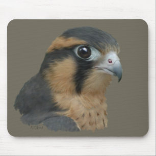 Aplomado Mousepad