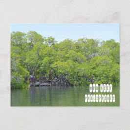 Apo Reef der Philippinen Postkarte