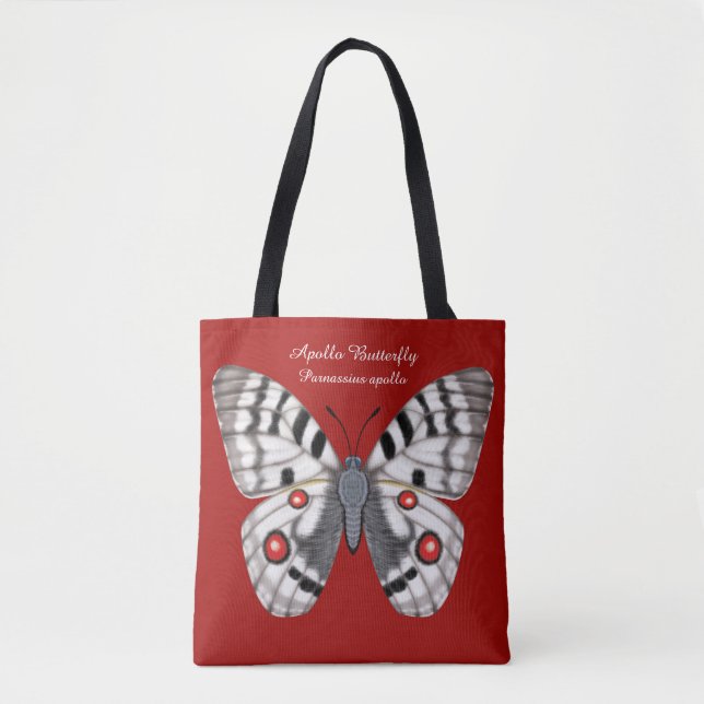 Apollo-Schmetterling dorsal und ventral Tasche (Vorderseite)