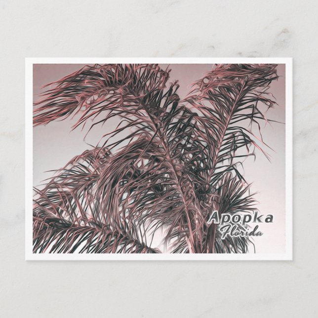 APOPKA FLORIDA POSTKARTE (Vorderseite)