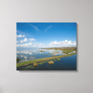 Apopka-Florida-See Leinwanddruck