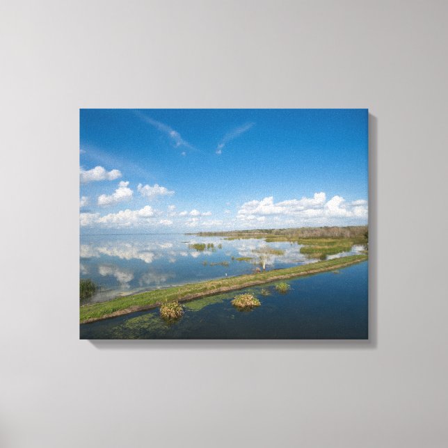 Apopka-Florida-See Leinwanddruck (Vorderseite)