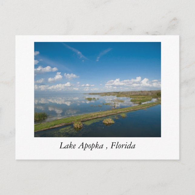 Apopka-See, Florida Postkarte (Vorderseite)
