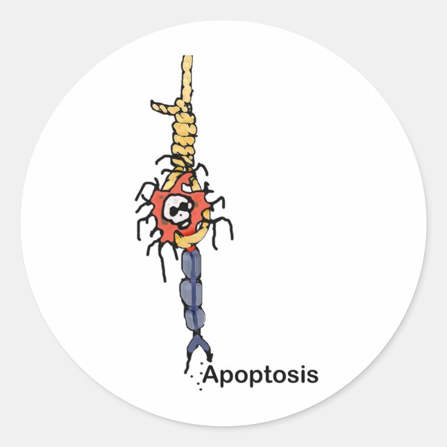 Apoptose Runder Aufkleber (Vorderseite)