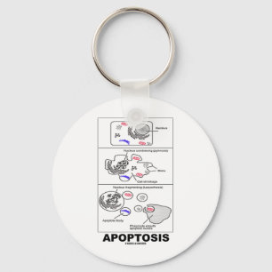 Apoptosis (Biologie-Zelltod) Schlüsselanhänger