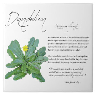 Apothécaire de plantes : Dandelion | Carreaux en c