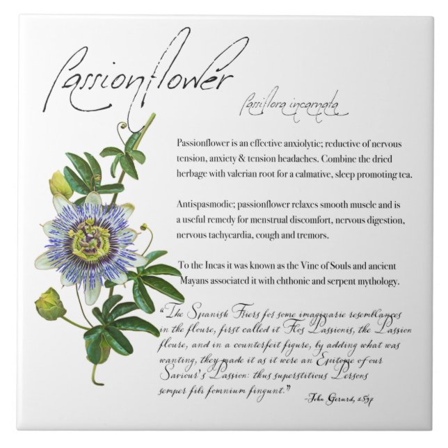 Apothécaire de plantes : Passionflower | Carreaux  (Devant)