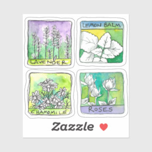 Apothecary Herbal Tee Jar Labels Chamomile Rose