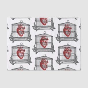 Apotheke Seidenpapier