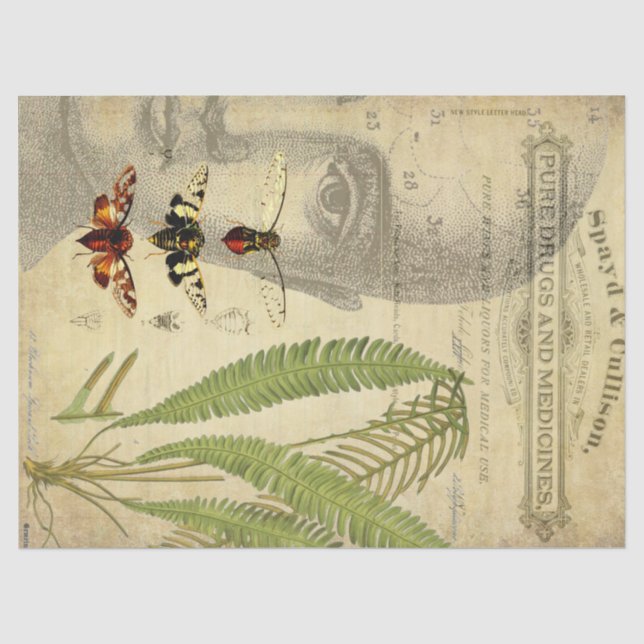 Apotheker Decoupage Gewebe Seidenpapier (Vorderseite)
