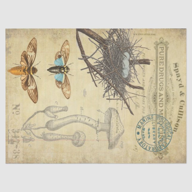 Apotheker Decoupage Gewebe Seidenpapier (Vorderseite)