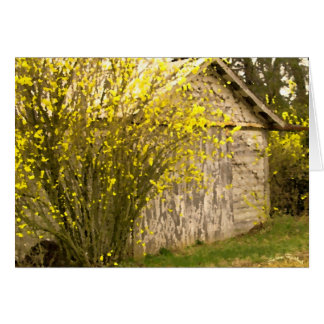 Appalachen-Frühling