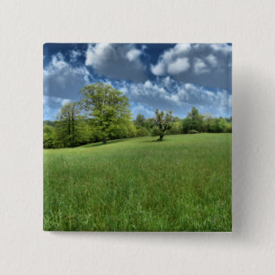 Appalachen-Grüner Knopf Button