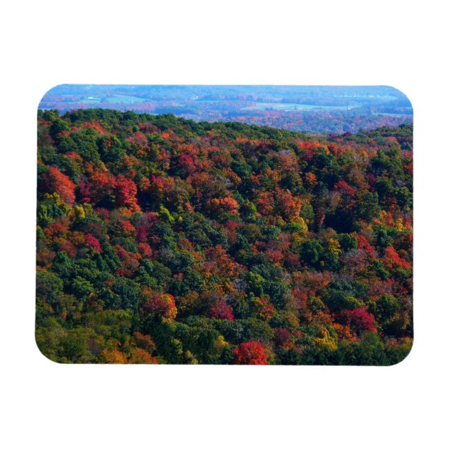 Appalachen im Herbst Magnet (Horizontal)