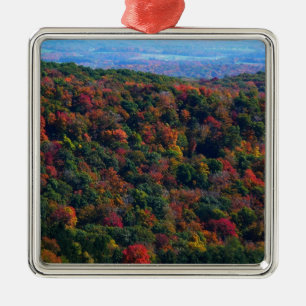 Appalachen im Herbst Silbernes Ornament