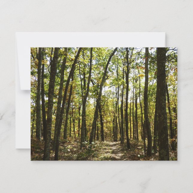 Appalachen-Pfad im Oktober in Shenandoah (Vorderseite)