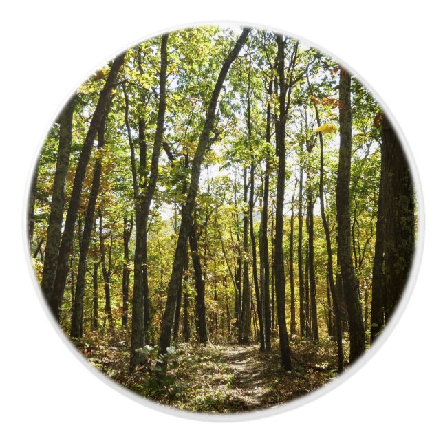 Appalachen-Pfad im Oktober in Shenandoah Keramikknauf (Vorderseite)