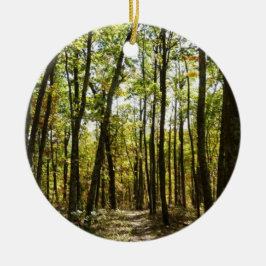 Appalachen-Pfad im Oktober in Shenandoah Keramikornament