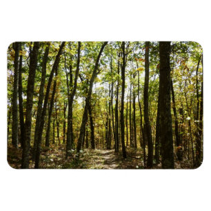Appalachen-Pfad im Oktober in Shenandoah Magnet
