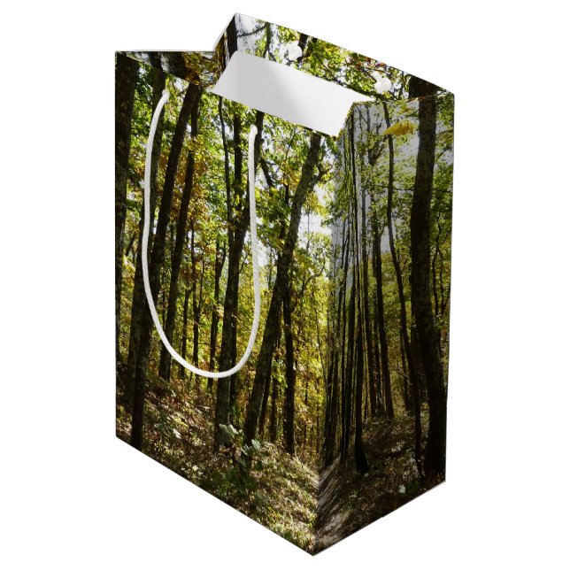 Appalachen-Pfad im Oktober in Shenandoah Mittlere Geschenktüte (Rückseite Schrägansicht)