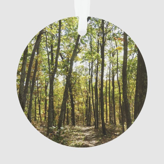 Appalachen-Pfad im Oktober in Shenandoah Ornament (Rückseite)