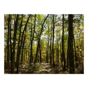 Appalachen-Pfad im Oktober in Shenandoah Poster