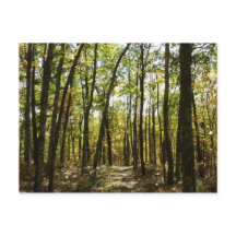 Appalachen-Pfad im Oktober in Shenandoah