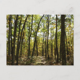 Appalachen-Pfad im Oktober in Shenandoah Postkarte