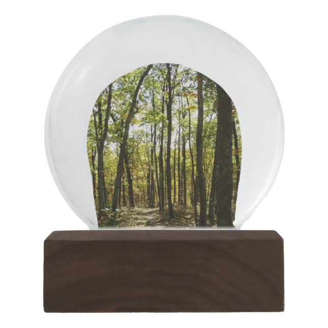 Appalachen-Pfad im Oktober in Shenandoah Schneekugel (Vorderseite)