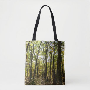 Appalachen-Pfad im Oktober in Shenandoah Tasche