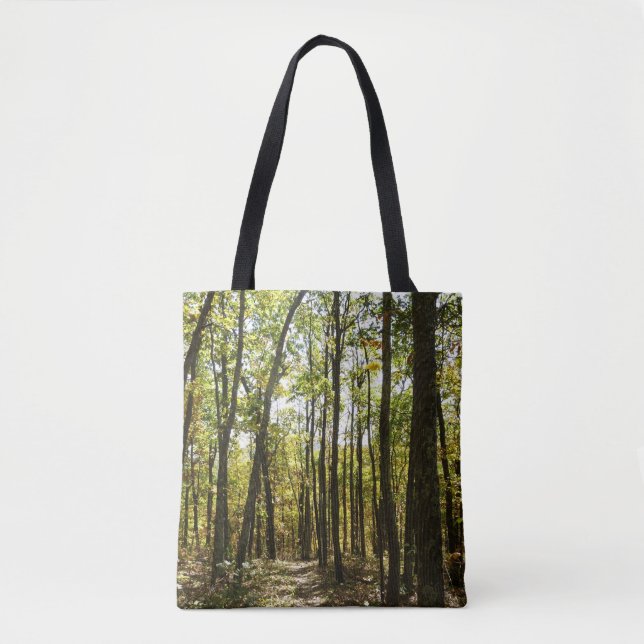Appalachen-Pfad im Oktober in Shenandoah Tasche (Vorderseite)