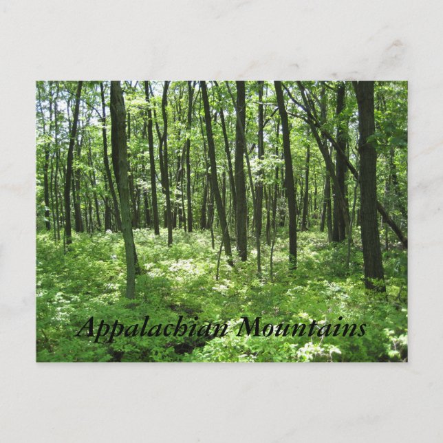 Appalachen Postkarte (Vorderseite)