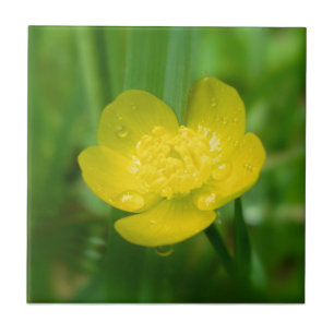 Appalachian Buttercup Decorative Tile Fliese