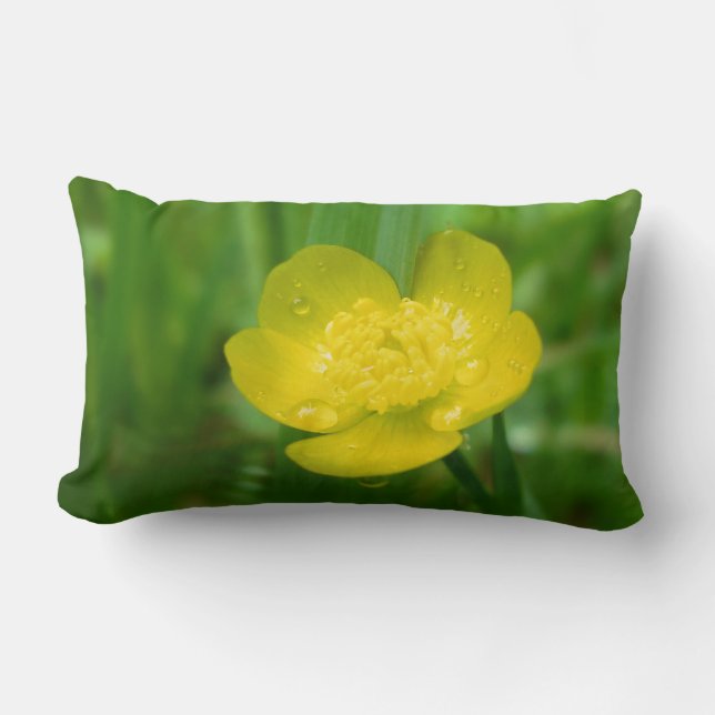 Appalachian Buttercup Kissen (Vorderseite)