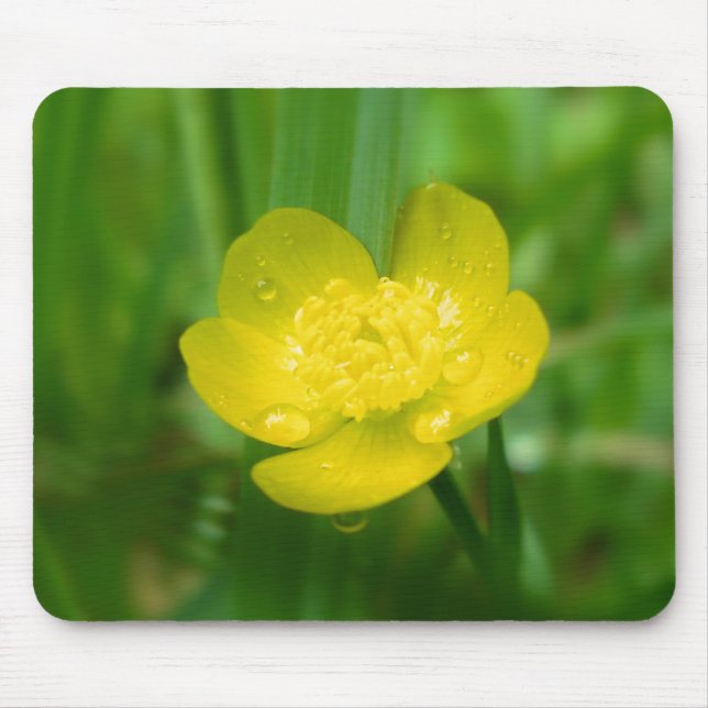 Appalachian Buttercup Mousepad (Vorne)