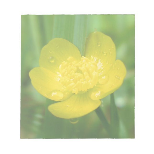 Appalachian Buttercup Notepad Notizblock (Vorderseite)