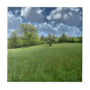 Appalachian Green Decorative Tile Fliese